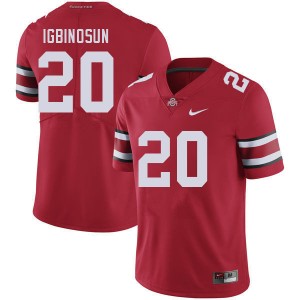 Davison Igbinosun The Fighting Buckeyes #20 Mens Football NCAA Jersey - Red 393836-102