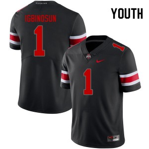 Davison Igbinosun Go Bucks #1 Football Replica Youth Jersey - Blackout 808386-439