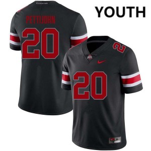 Riley Pettijohn Ohio State Alumni Youth #20 Football Jersey - Blackout 134412-811