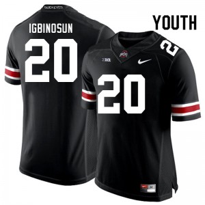 Davison Igbinosun The Ohio State #20 Youth Football Alumni Jersey - Black 890855-427