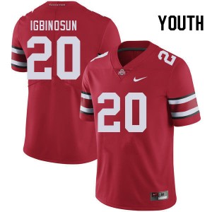 Davison Igbinosun Go Bucks #20 Youth Player Football Jersey - Red 839113-814