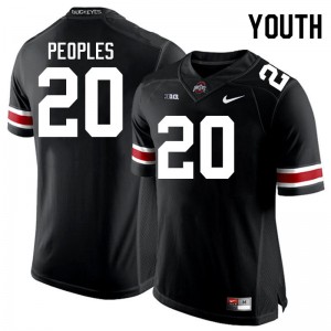 James Peoples Ohio State Alumni #20 Football Youth Jersey - Black 853317-178