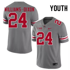 Sam Williams-Dixon OSU Youth Official Football #24 Jersey - Grey 688471-468
